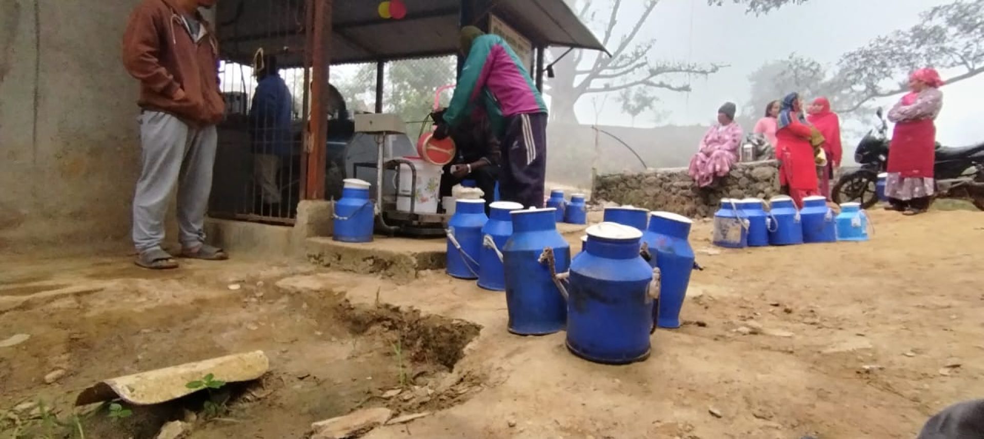 दूध उत्पादनमा आत्मनिर्भर बन्दै पालुङ्टार, उत्साहित छन् सहकारीका सदस्य